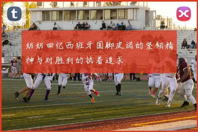 奶奶回忆西班牙国脚皮诺的坚韧精神与对胜利的执着追求